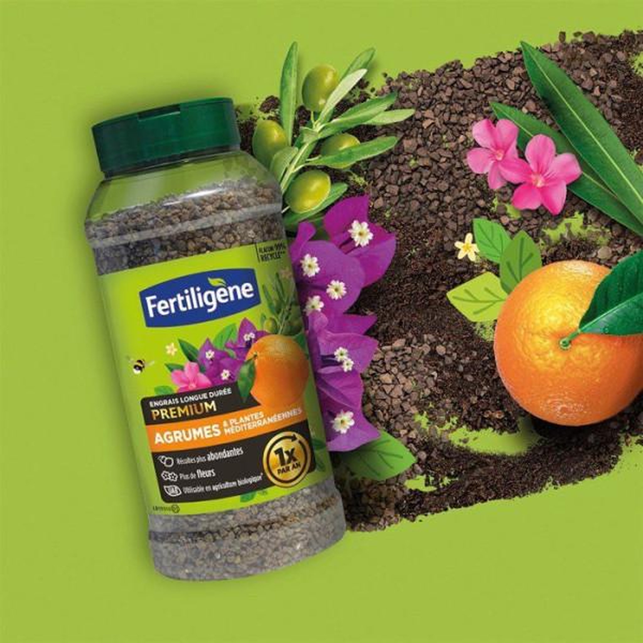 Voir la diapositive 4 : Fertiligene Engrais longue durée premium agrumes plantes méditerranéennes 600 g - FERTILIGENE - FEGLDMED