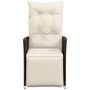 Voir la diapositive 4 : VIDAXL Chaises inclinables de jardin lot de 2 et coussins marron rotin