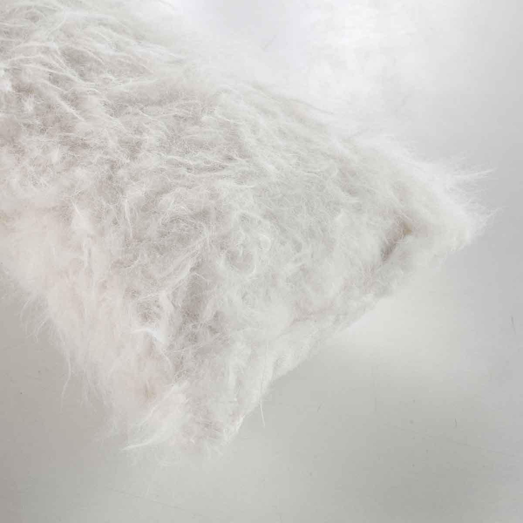 Voir la diapositive 3 : Douceur d'Intérieur Boudin bas de porte  suède  80cm blanc