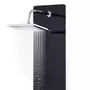VIDAXL Panneau de douche Verre 25 x 44,6 x 130 cm Noir