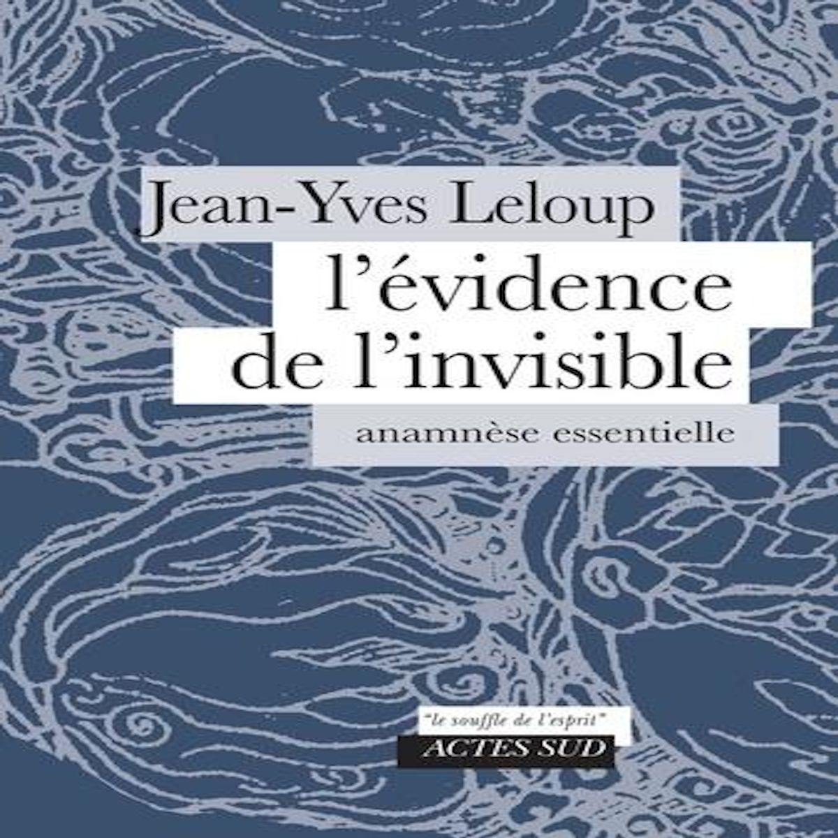 L'EVIDENCE DE L'INVISIBLE. ANAMNESE ESSENTIELLE, Leloup Jean-Yves
