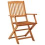 Voir la diapositive 2 : VIDAXL Chaises de jardin pliables lot de 2 Bois d'eucalyptus massif