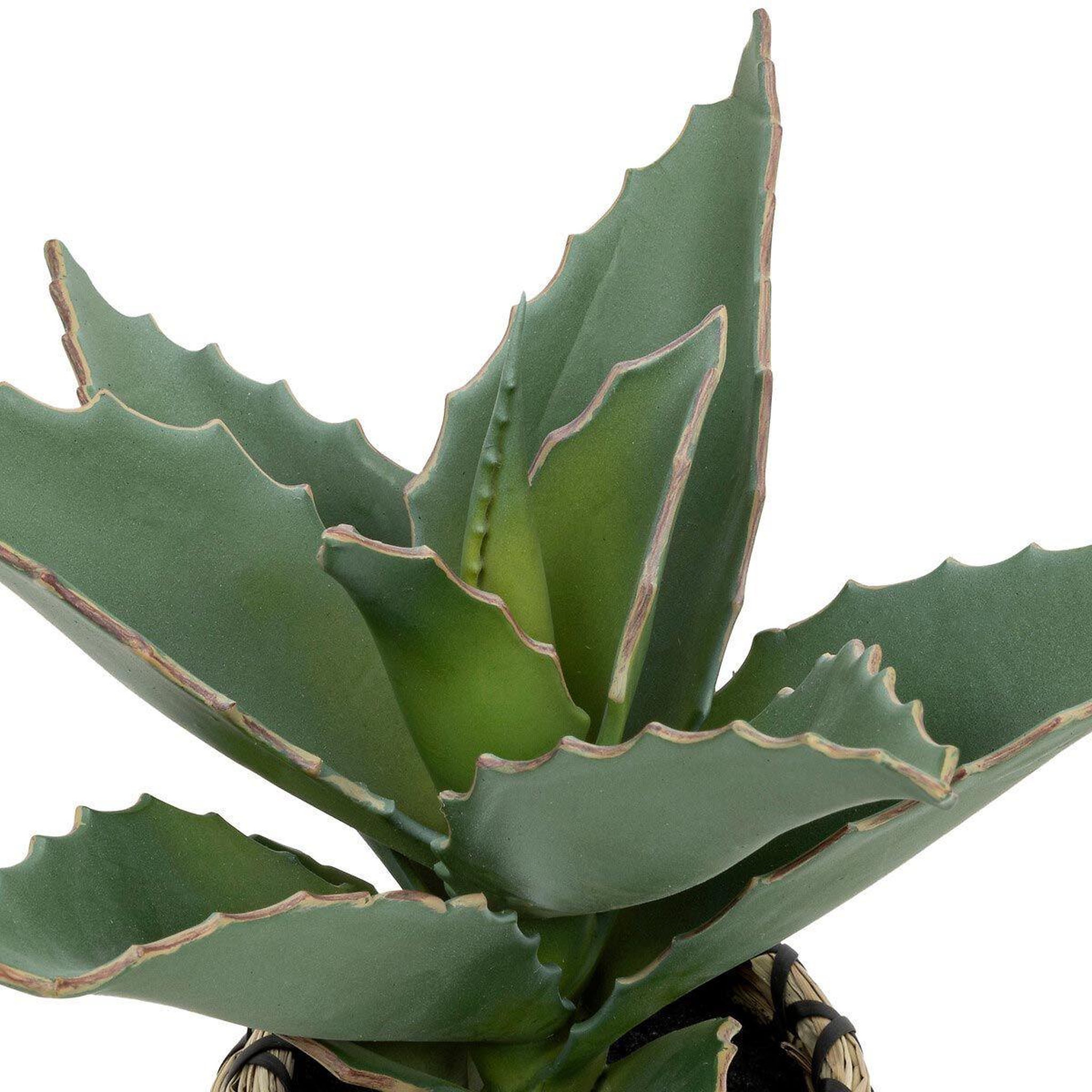 Voir la diapositive 3 : ATMOSPHERA Plante artificielle samouraï  pio  26cm naturel