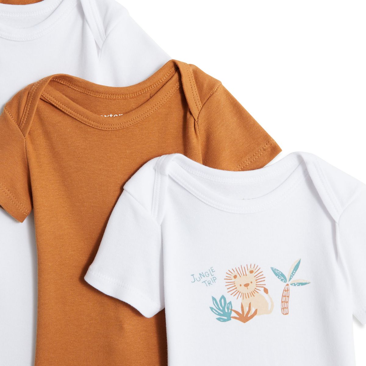 INEXTENSO Lot de 5 bodies manches courtes lion bébé garçon 