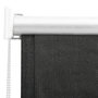 Voir la diapositive 3 : VIDAXL Store roulant d'exterieur 60x140 cm Anthracite