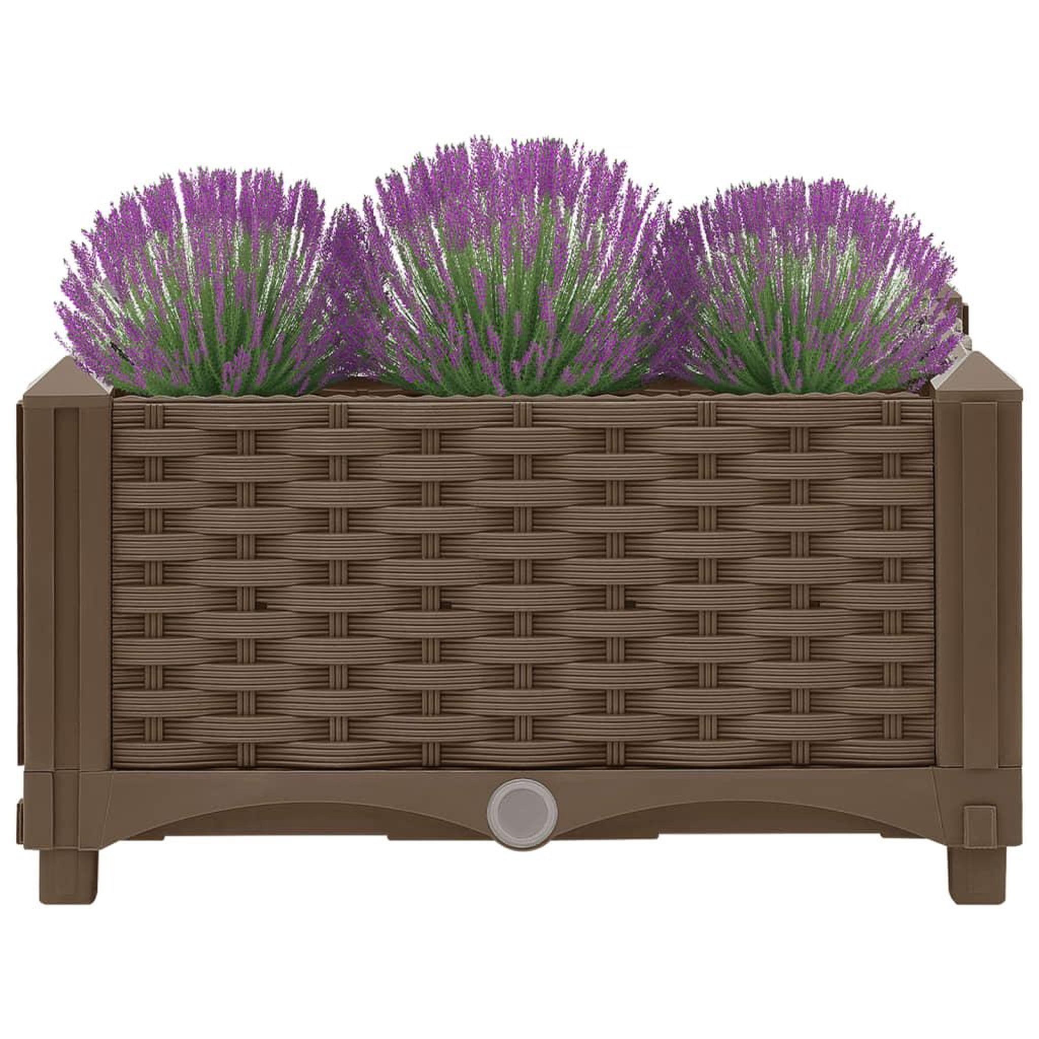 Voir la diapositive 3 : VIDAXL Lit sureleve 40x40x23 cm Polypropylene