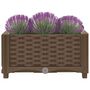 Voir la diapositive 3 : VIDAXL Lit sureleve 40x40x23 cm Polypropylene