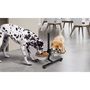 Voir la diapositive 1 : Idomya E. Double gamelle pour chiens diam 21 cm hauteur ajustable