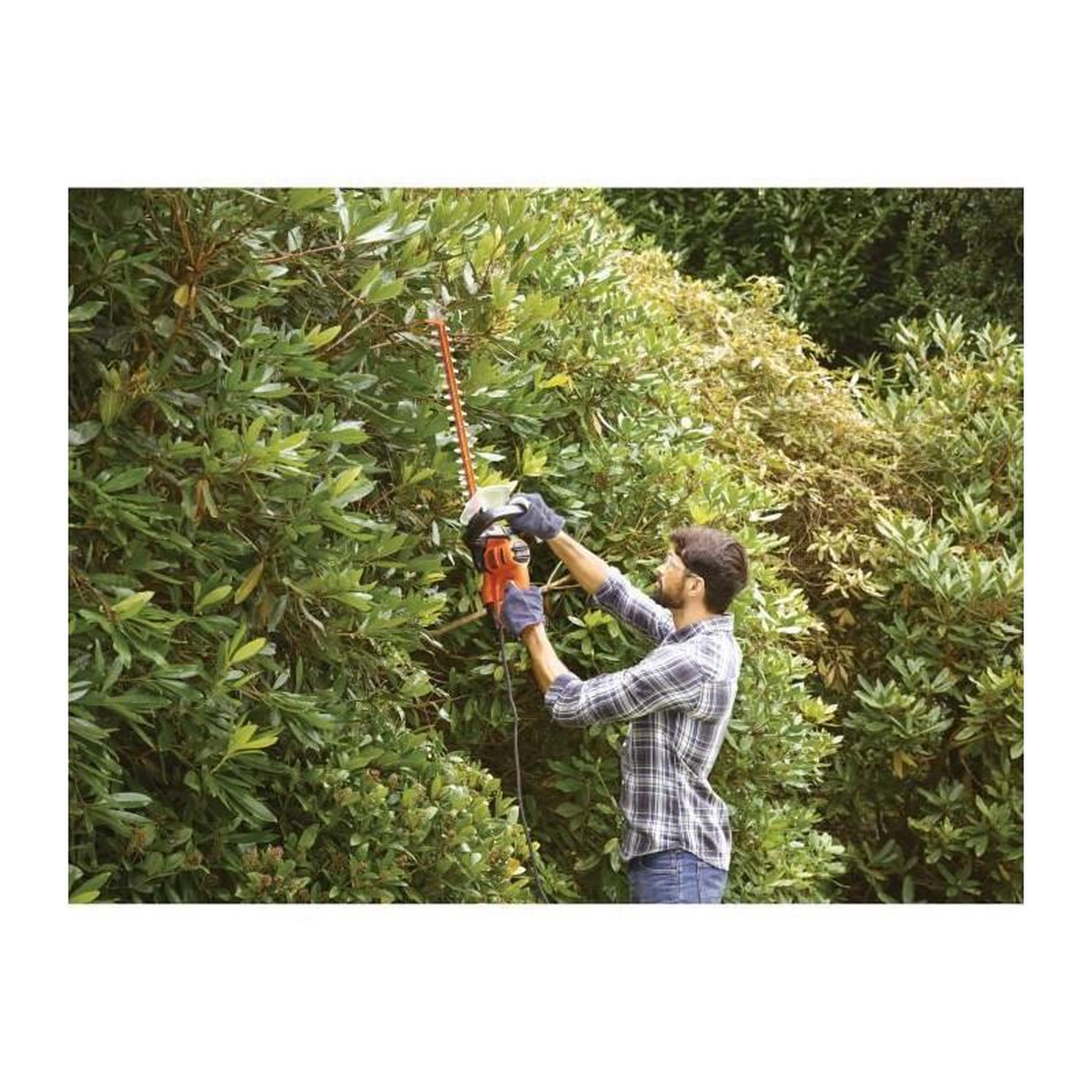 Voir la diapositive 3 : Black et Decker BLACK + DECKER Taille-Haies  50cm 500W - Avec lame de scie BEHTS301