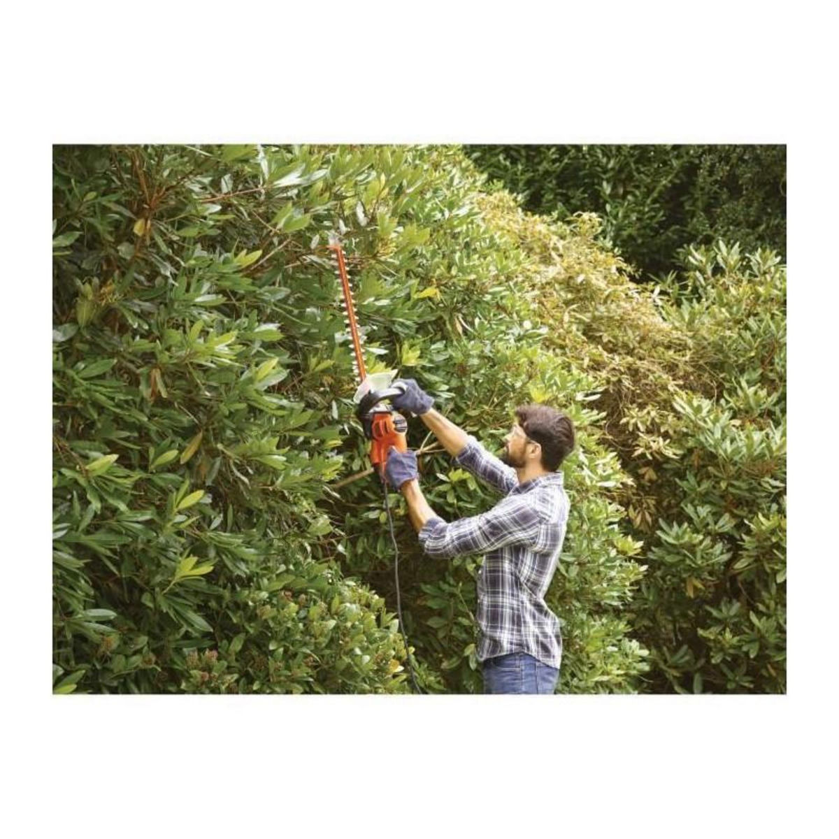 Black et Decker BLACK + DECKER Taille-Haies  50cm 500W - Avec lame de scie BEHTS301