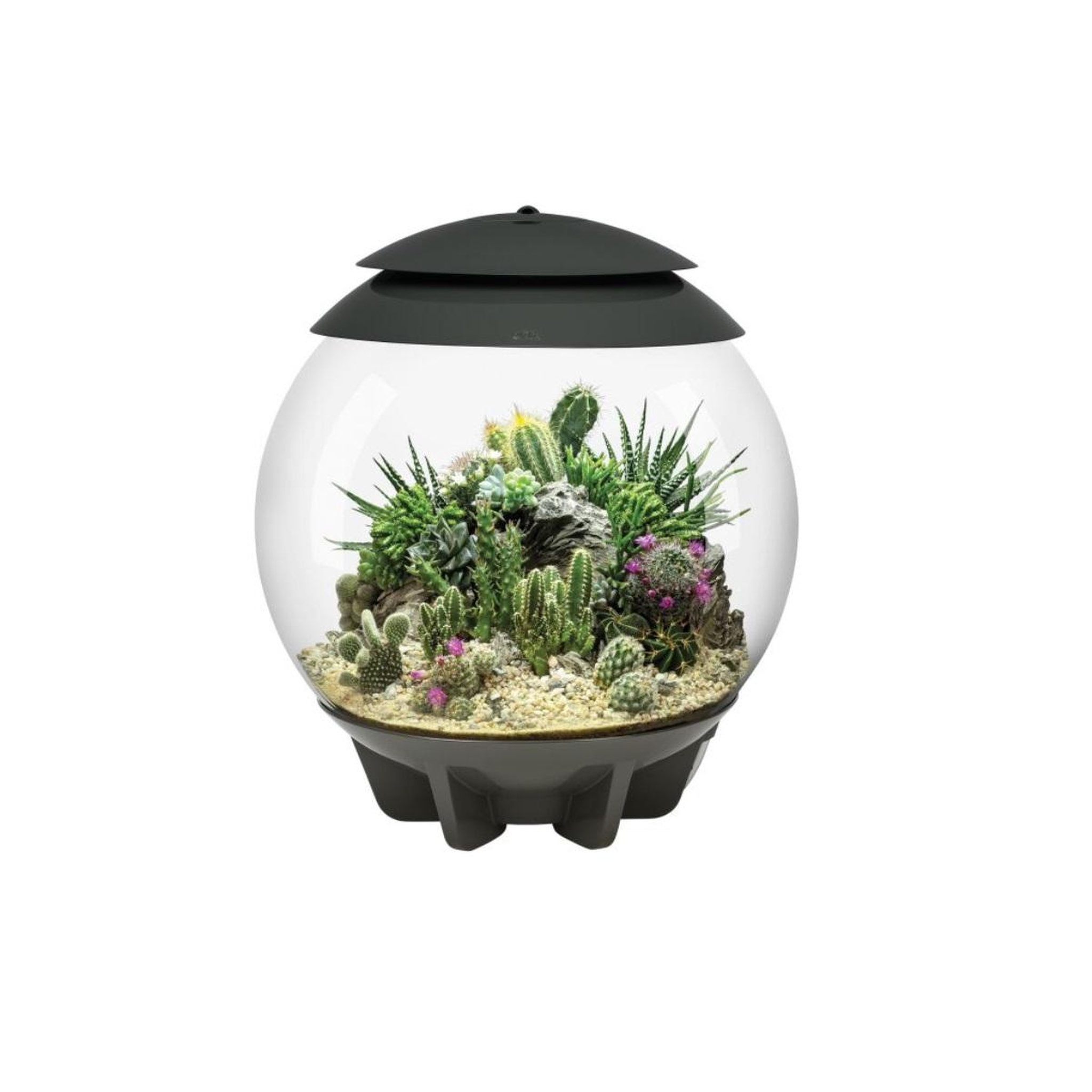 Oase Terrarium automatisé 30l gris - air30grey