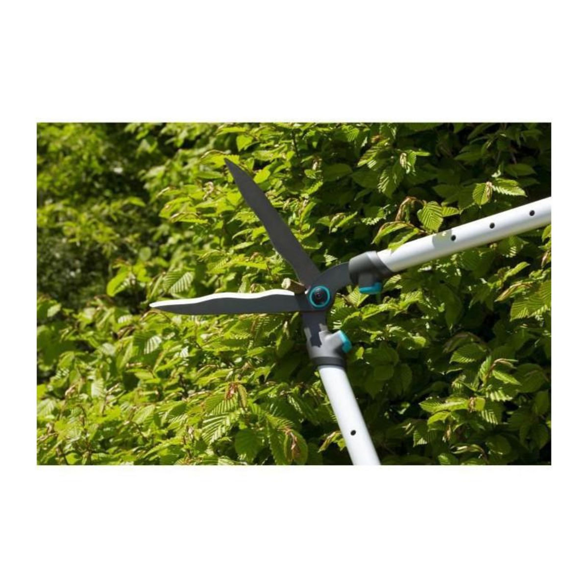 Gardena Cisaille à Haies télescopique TeleCut - lames ondulées anti-adhérentes - coupe : 25 cm