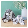 Voir la diapositive 3 : Histoire D'Ours Doudou - Lapin marius - 40 cm