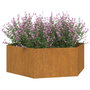 Voir la diapositive 3 : VIDAXL Jardiniere Rouille 138x120x45 cm Acier corten