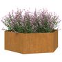 Voir la diapositive 3 : VIDAXL Jardiniere Rouille 138x120x45 cm Acier corten