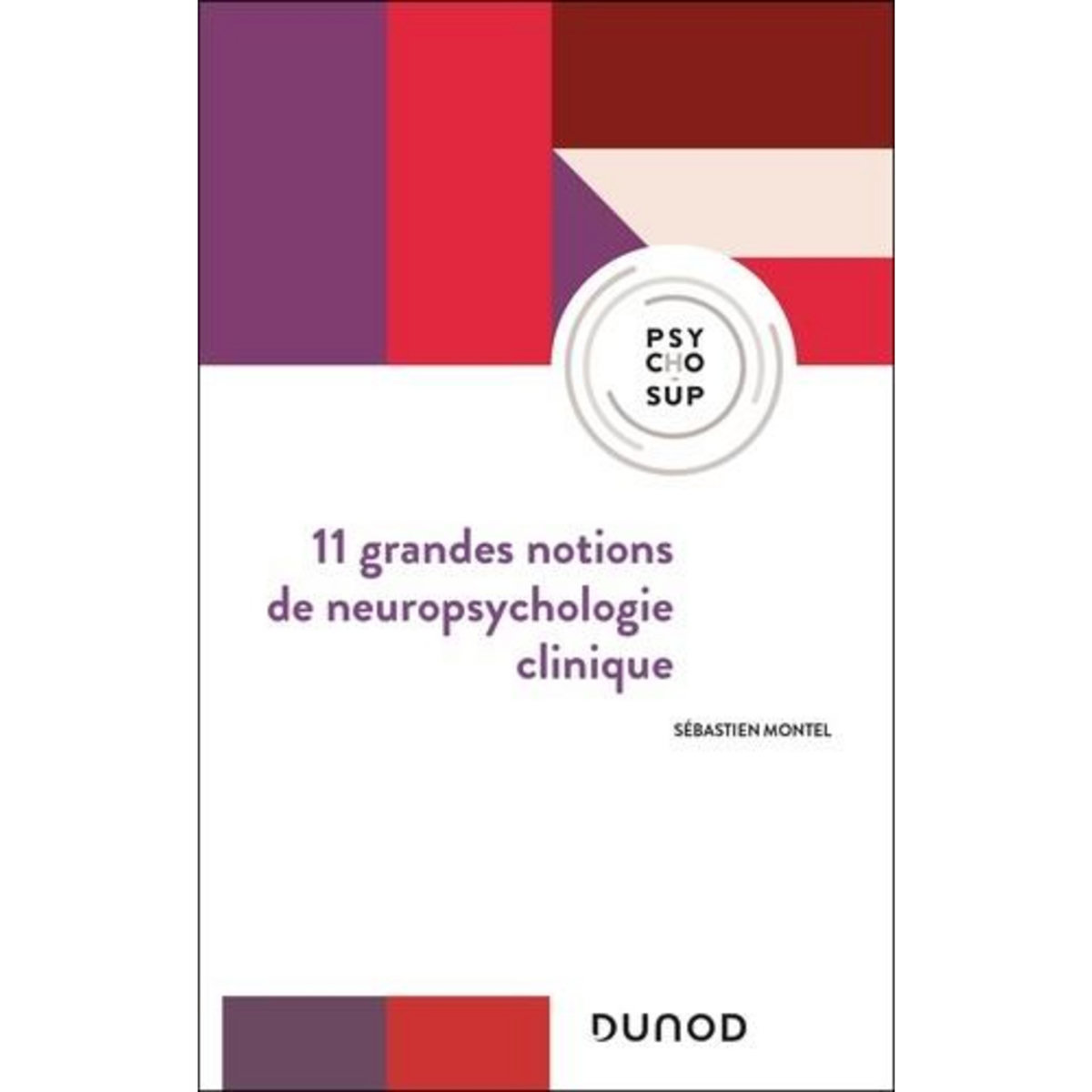 11 GRANDES NOTIONS DE NEUROPSYCHOLOGIE CLINIQUE, Montel Sébastien
