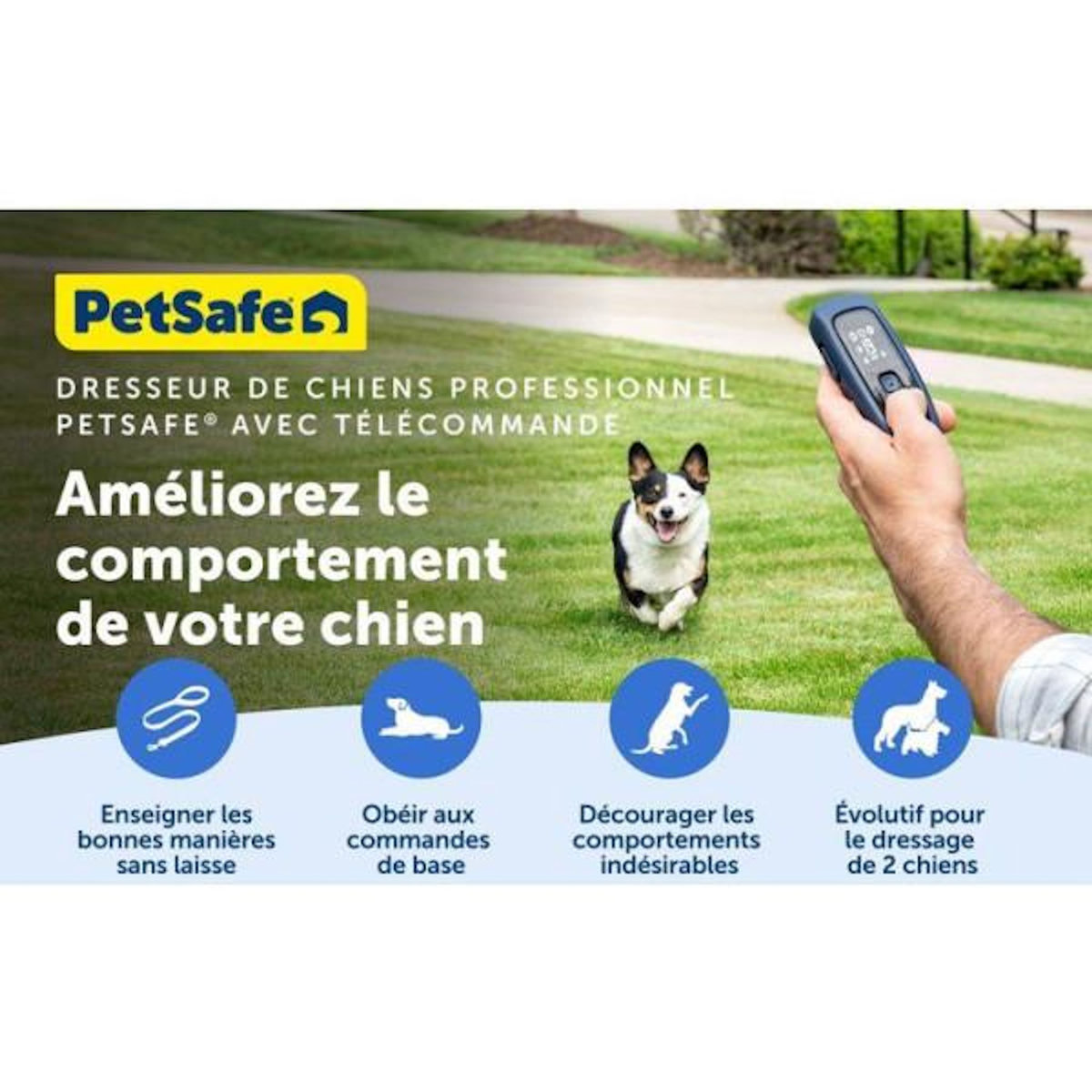 PETSAFE Systeme d'aide a l'éducation - PETSAFE - Pro - Portée 300 m - Dressage du chien
