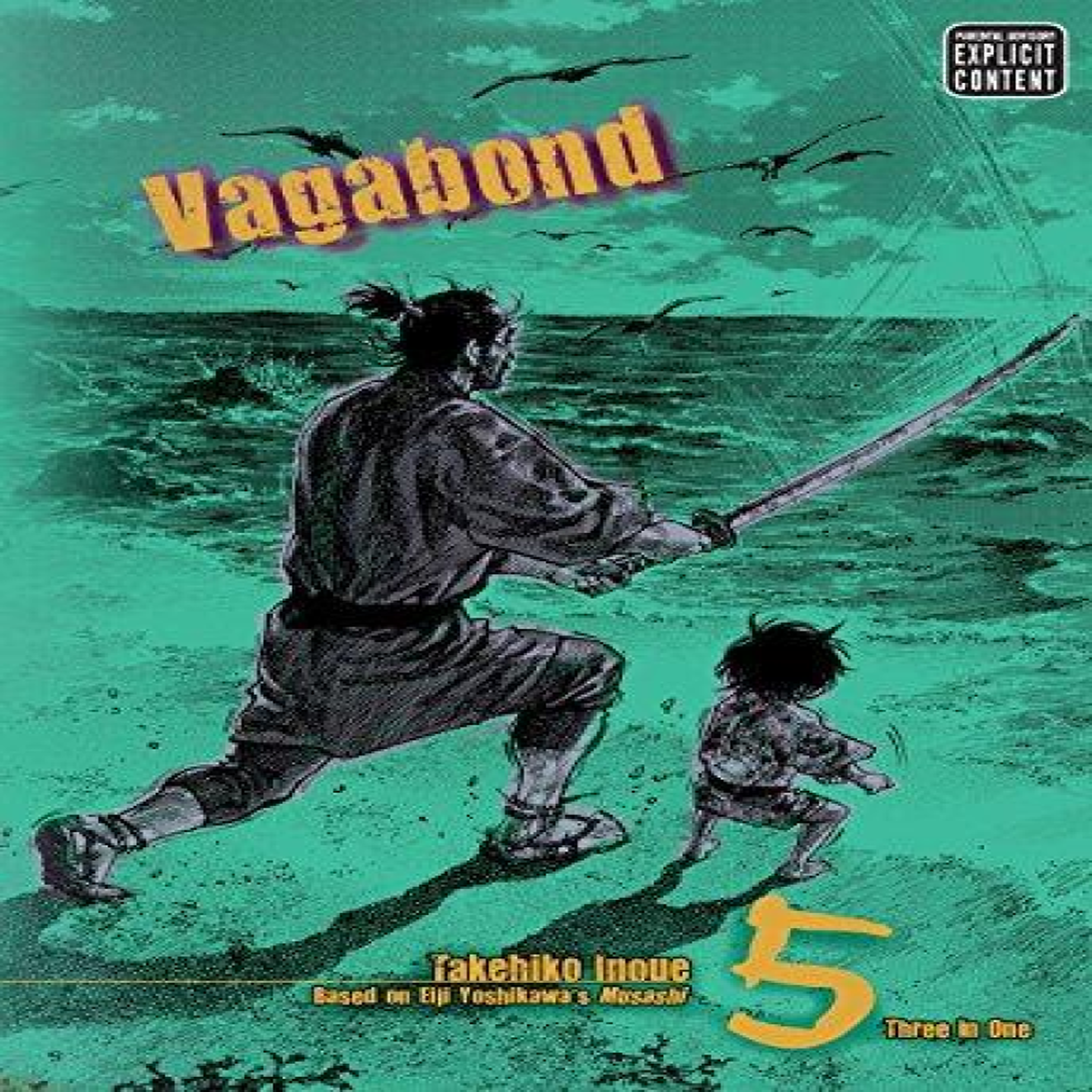LIVRES Vagabond (VIZBIG Edition), Vol. 5