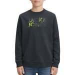 Jack & Jones Sweat  Foncé Garçon Jack & Jones Splash. Coloris disponibles : Gris