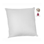 ABEIL Lot de 2 oreillers anti-acariens - 60 x 60 cm - 100% coton Bio - ABEIL