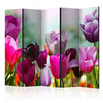Paris Prix Paravent 5 Volets  Beautiful Tulips  172x225cm