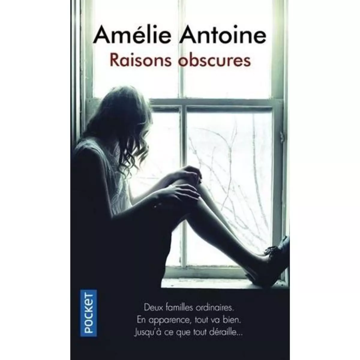  RAISONS OBSCURES, Antoine Amélie