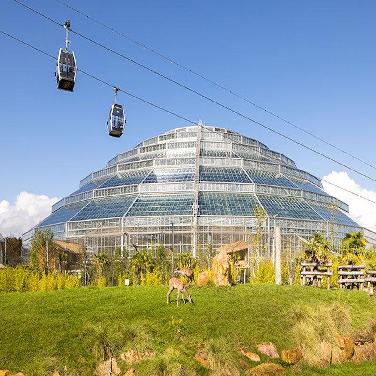 Smartbox Billets pour le ZooParc de Beauval 2026 : 2 entrées adulte et 2 entrées enfant pour 1 journée - Coffret Cadeau Multi-thèmes