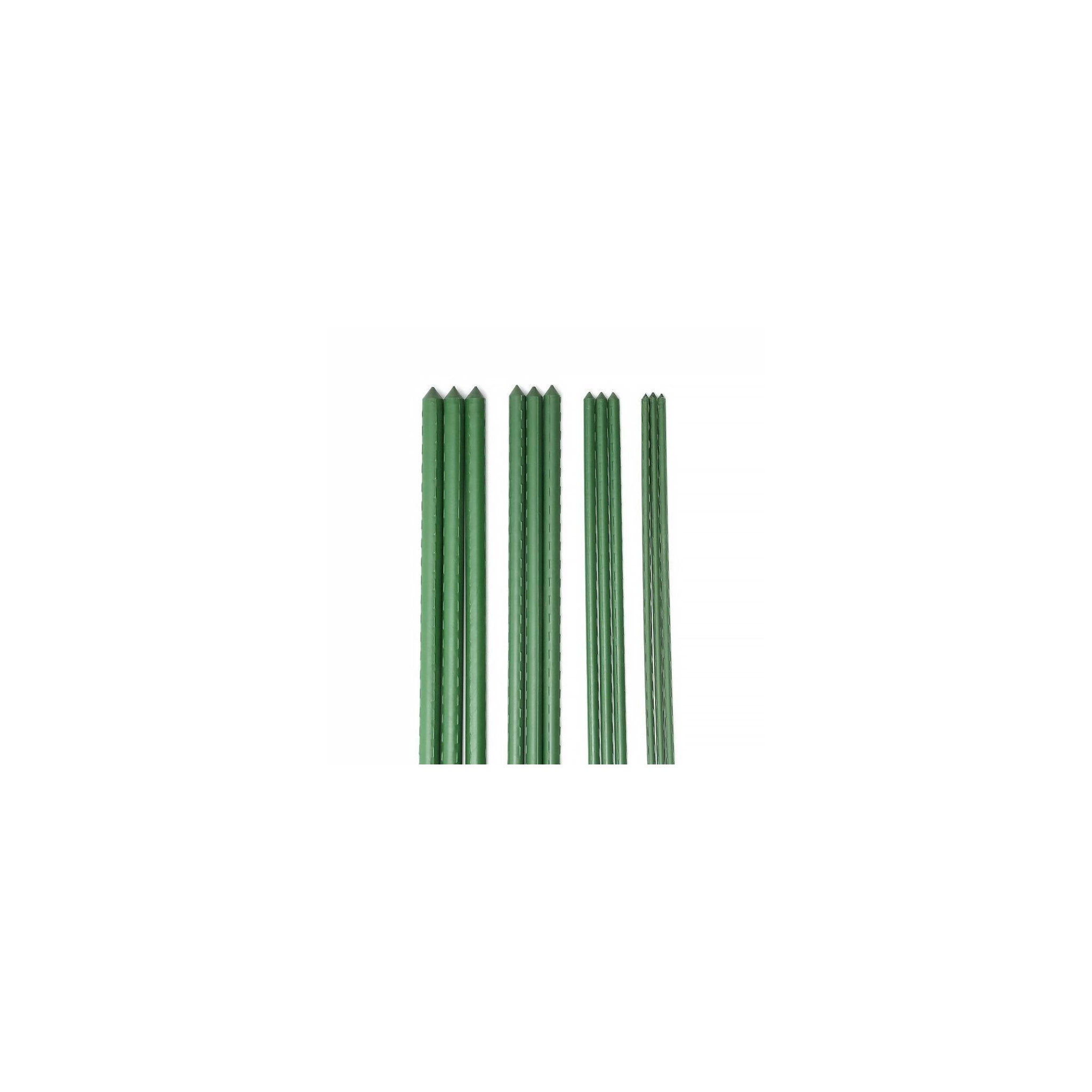 Voir la diapositive 2 : Lot de 10 tuteurs pour plantes et légumes - En fer - Hauteur : 180 cm