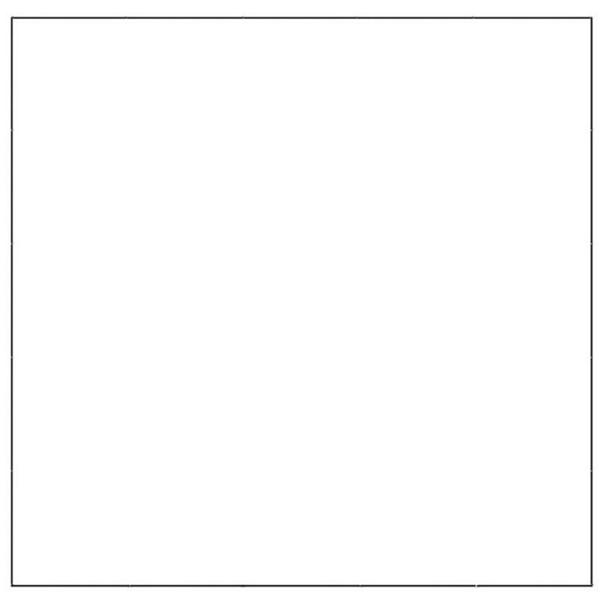 VIDAXL Chenil Noir 25 m² Acier