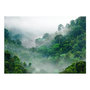 Voir la diapositive 2 : Paris Prix Papier Peint  Morning Fog