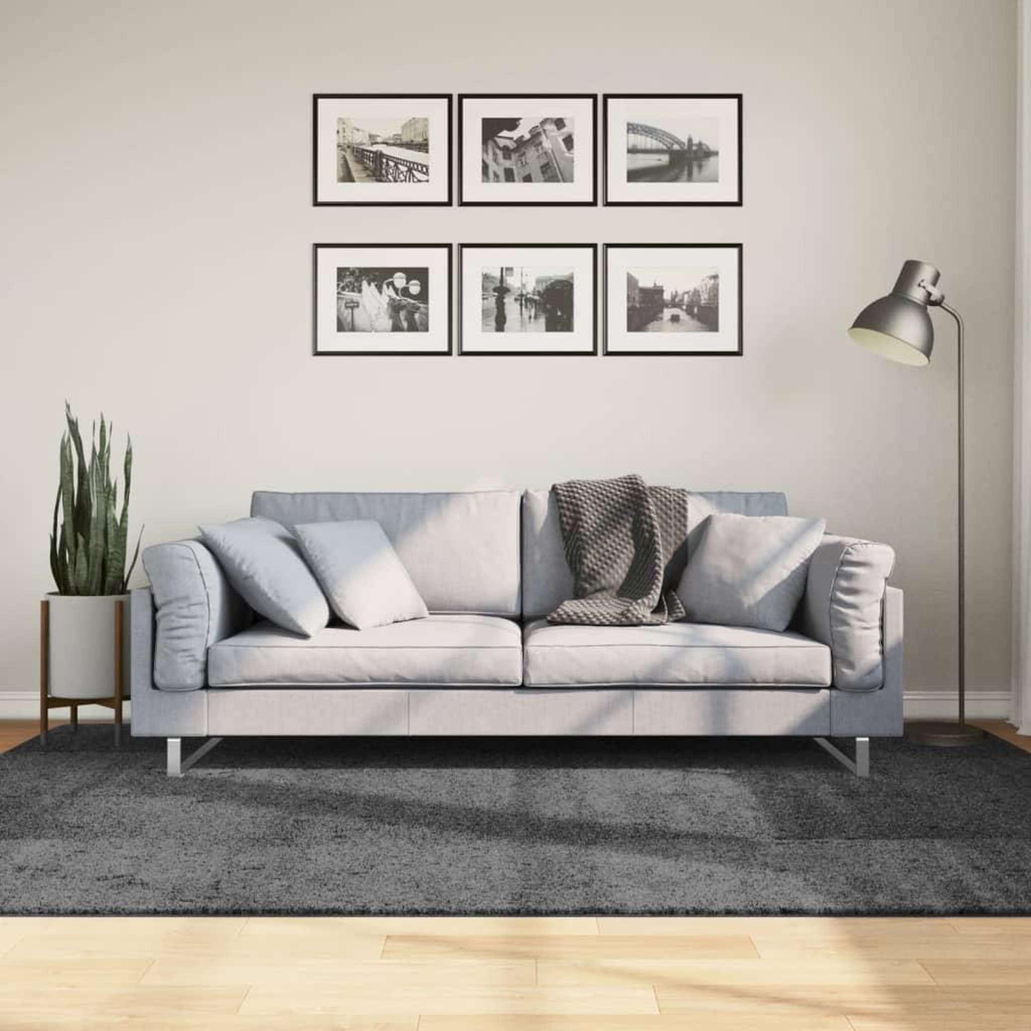 VIDAXL Tapis OVIEDO a poils courts anthracite 160x230 cm