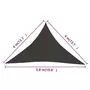 VIDAXL Voile d'ombrage 160 g/m^2 Anthracite 4x4x5,8 m PEHD