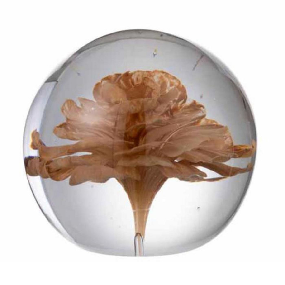 Paris Prix Presse-Papier en Verre  Fleur  10cm Marron