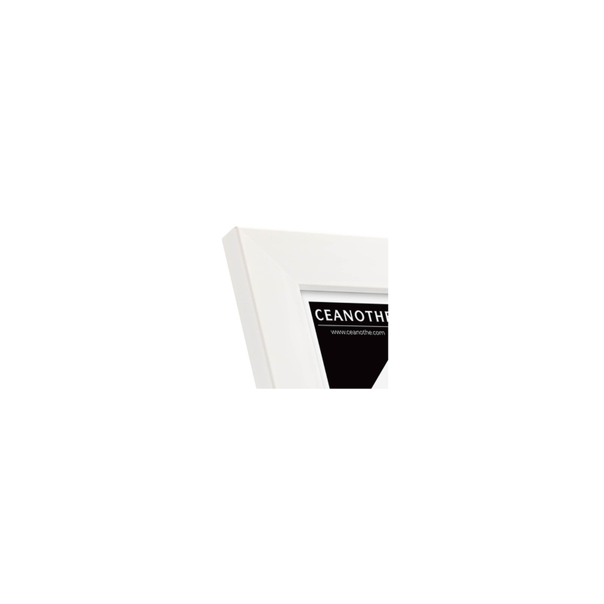 Voir la diapositive 4 : CEANOTHE Cadre Ceanothe CADRE 10X15 ETERNEL BLANC