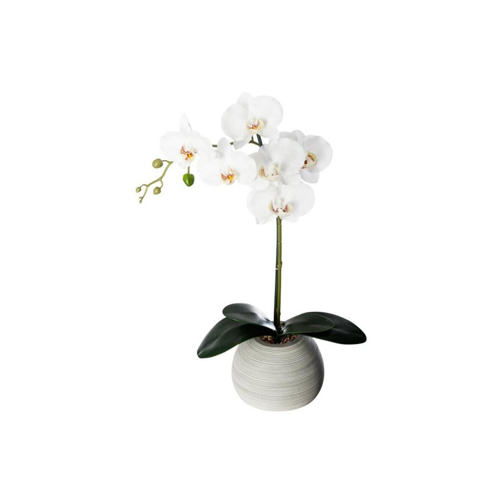 ATMOSPHERA Fleur artificielle en pot  orchidée  53cm gris