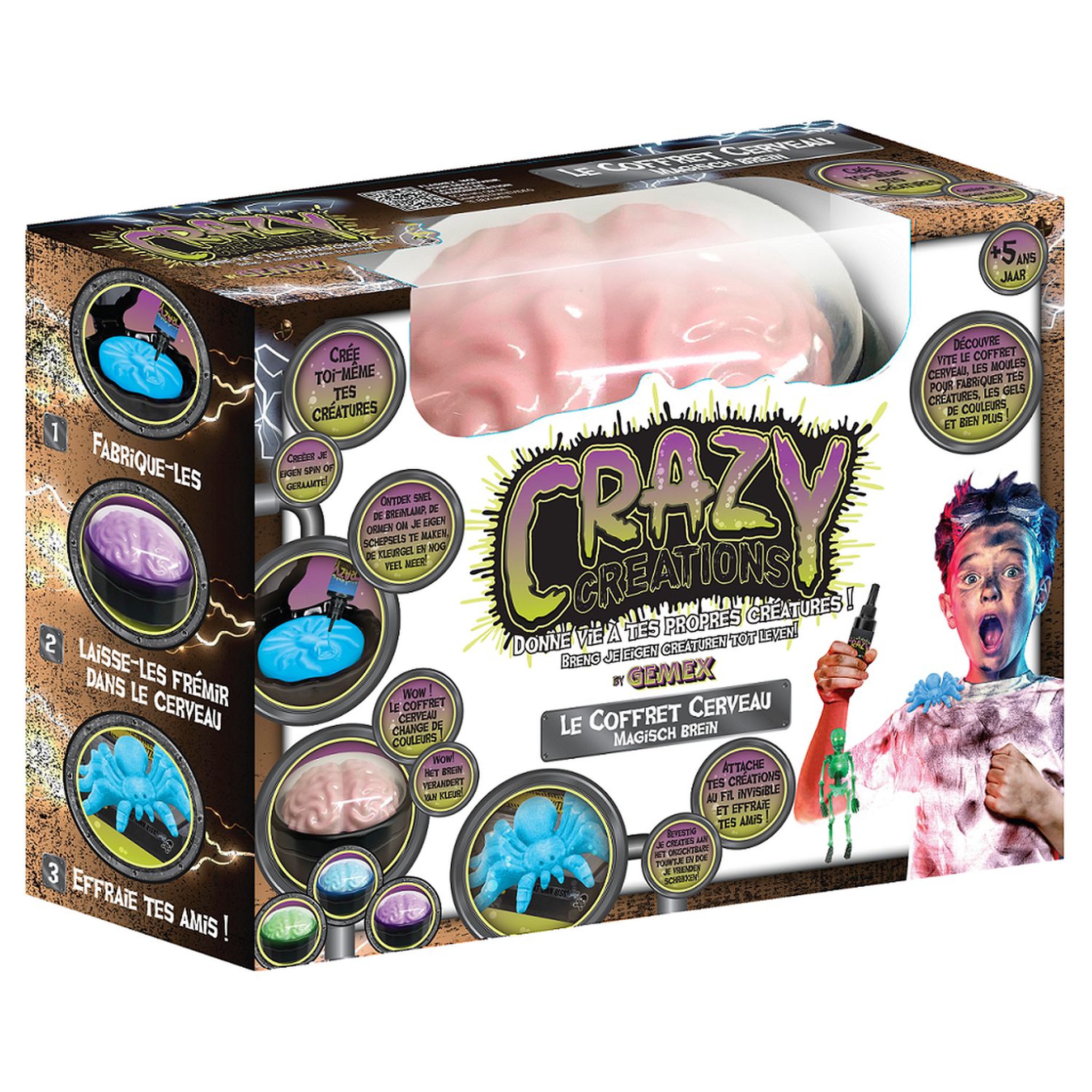 Voir la diapositive 1 : BEST OF TV Crazy creations - Le coffret cerveau