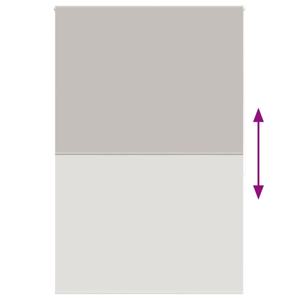 VIDAXL Store enrouleur de douche 150x240 cm largeur du tissu 146 cm