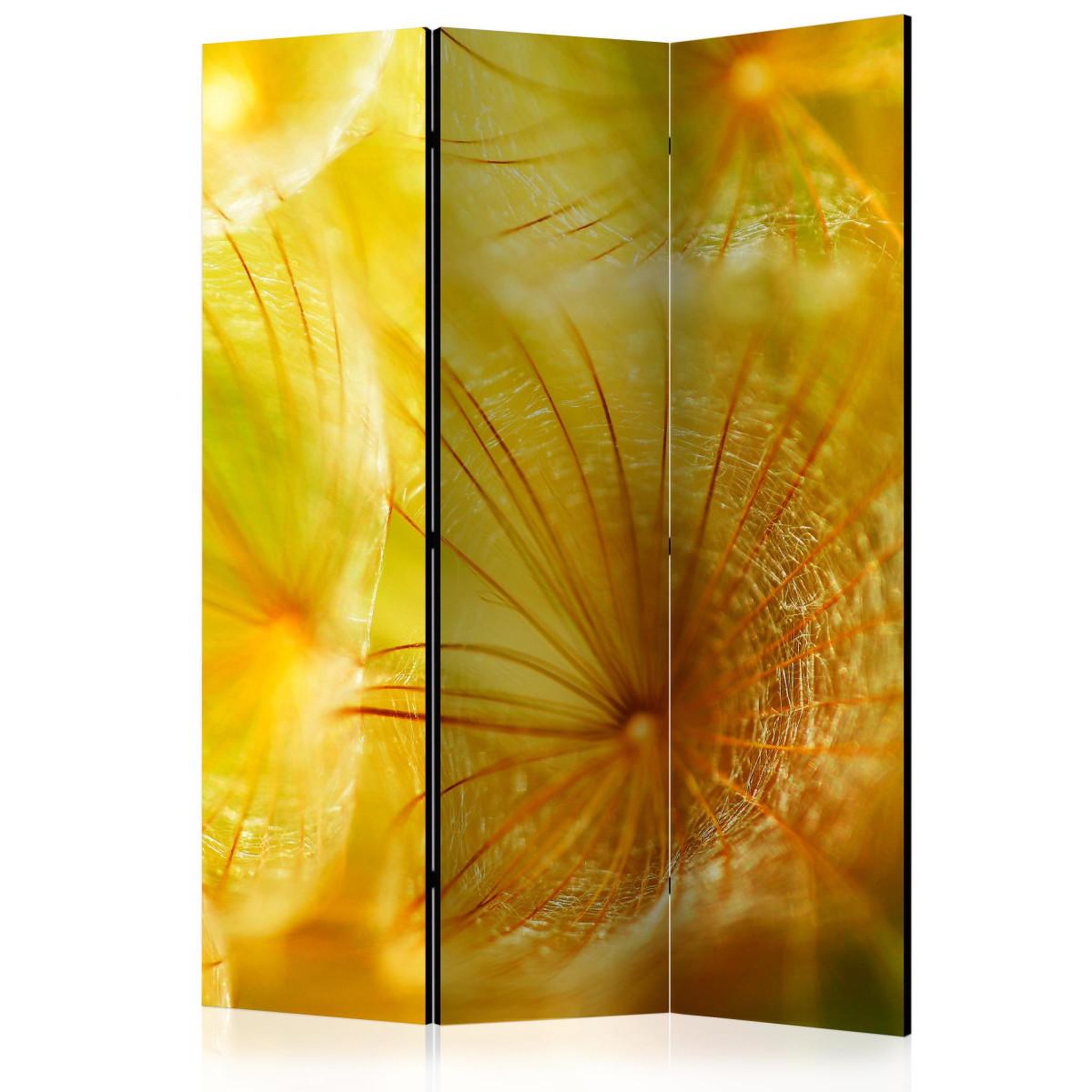 Paris Prix Paravent 3 volets  soft dandelion flower  135x172cm