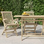 VIDAXL Chaises de jardin pliantes lot de 2 gris 56x61x89cm bois teck
