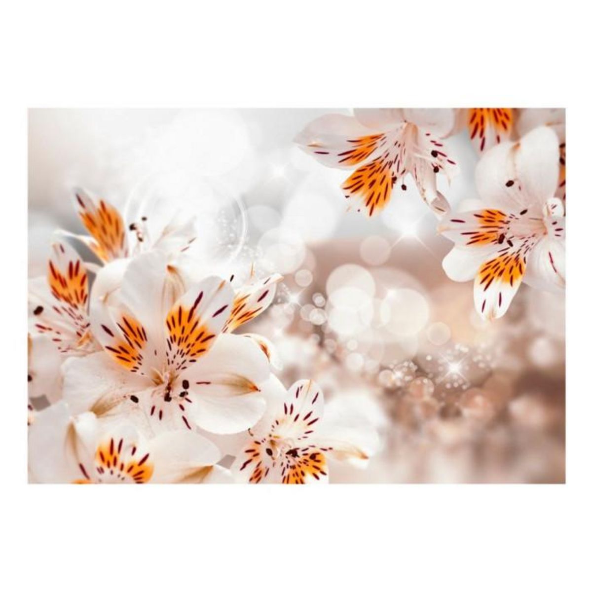 Paris Prix Papier Peint  Lily of the Incas