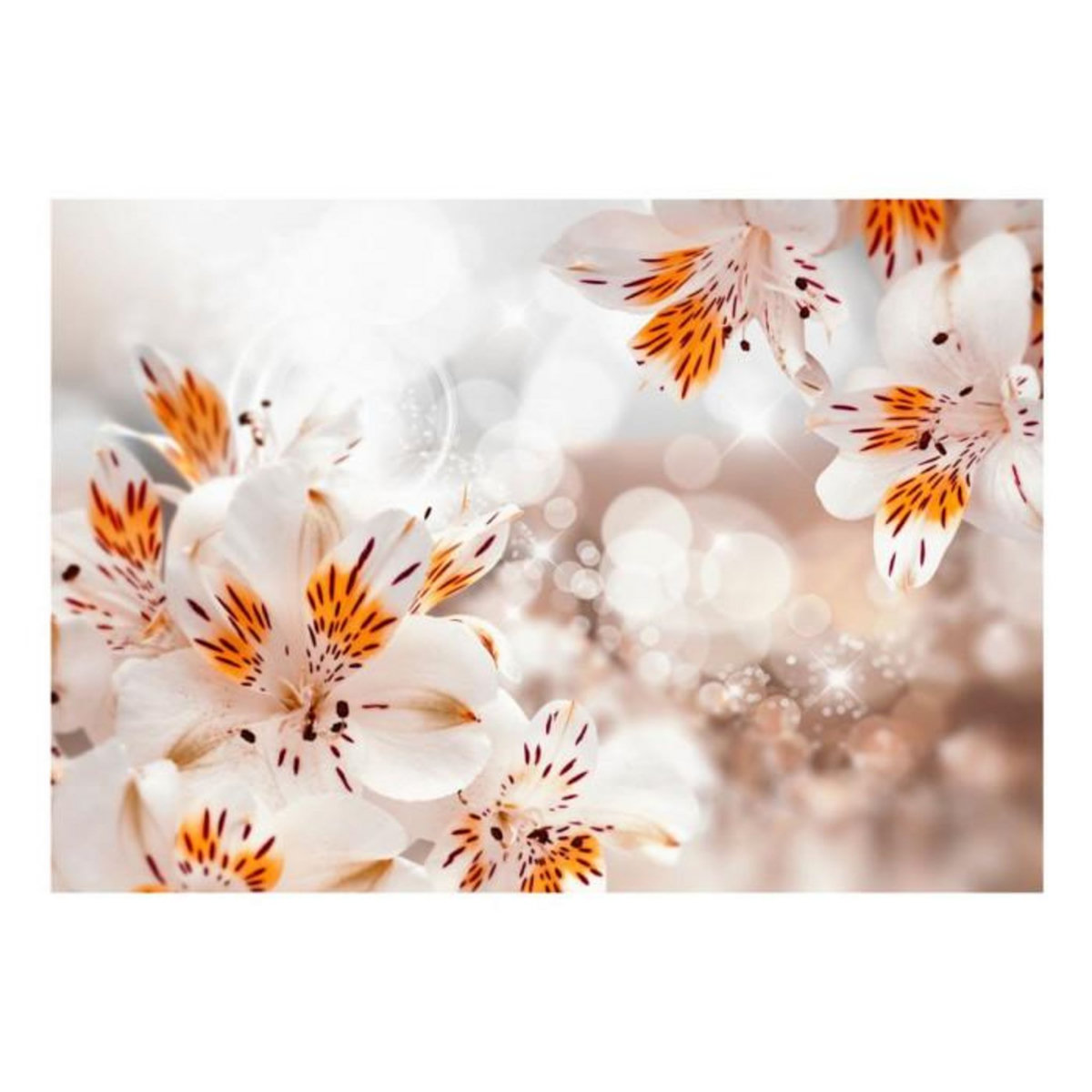 Paris Prix Papier Peint  Lily of the Incas