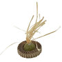 Voir la diapositive 1 : Paris Prix Jouet pour Chat  Balle Herbe & Carton  13cm Naturel
