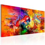 Paris Prix Tableau Imprimé  Colourful Parrot. Coloris disponibles : Multicolore