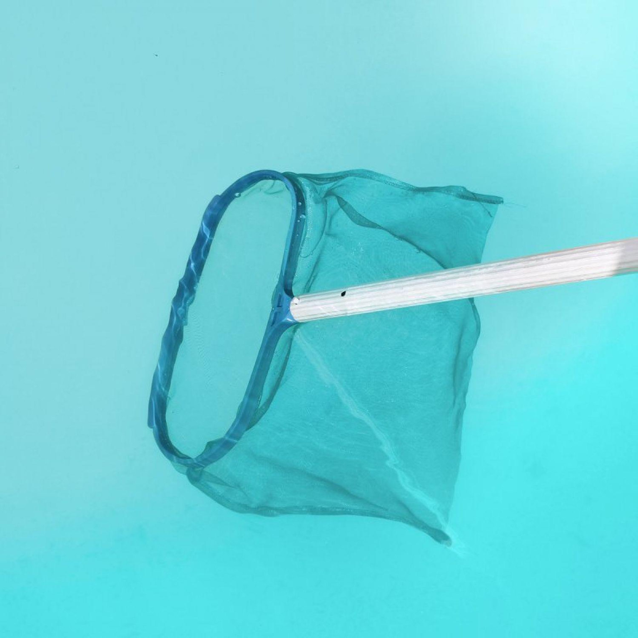 Voir la diapositive 3 : LINXOR Tête d'épuisette de fond bleu pour piscine adaptable sur manche standard ou télescopique