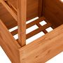 Voir la diapositive 4 : VIDAXL Jardiniere a treillis avec arche 49x39x130 cm Bois de sapin
