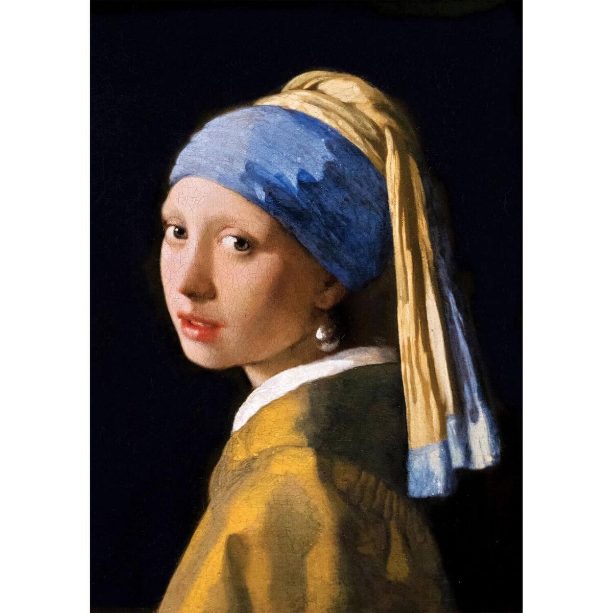 Art Puzzle Puzzle 1000 pièces : La Jeune Fille à la perle, Vermeer pas cher  