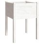 Voir la diapositive 2 : VIDAXL Jardiniere Blanc 50x50x70 cm Bois de pin massif