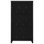 Voir la diapositive 2 : VIDAXL Armoire a casiers Noir 90x45x180 cm Acier