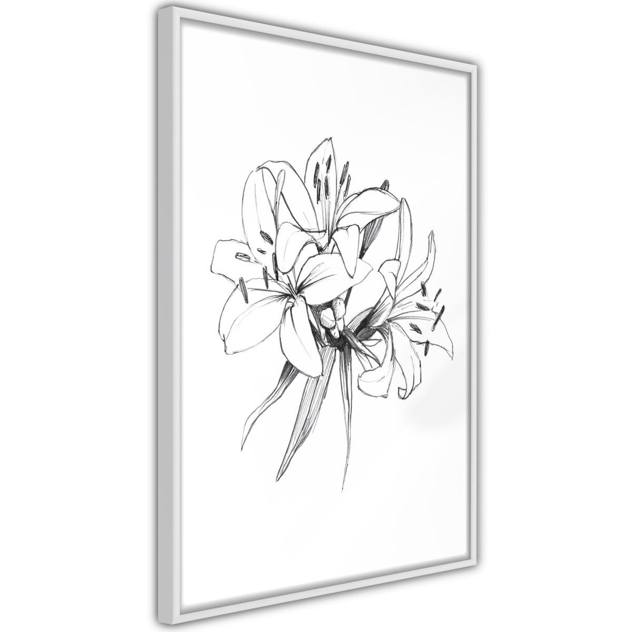 Paris Prix Affiche murale encadrée  sketch of lillies
