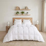 Voir la diapositive 5 : DODO Couette Thermoduv CHAUDE - 70% Duvet d'Oie
